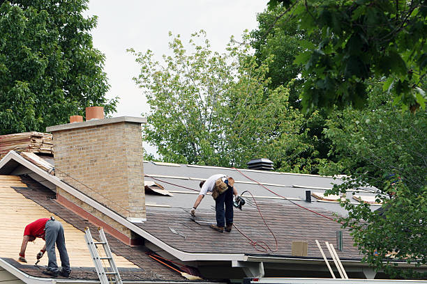 Best Roof Moss and Algae Removal  in Fifth Street, TX